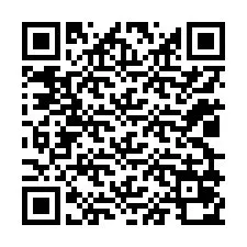 QR-code voor telefoonnummer +12029070431