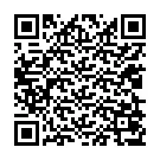 QR-код для номера телефона +12029077312