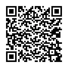 Codice QR per il numero di telefono +12029285213