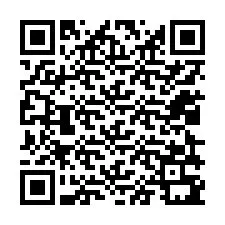 QR-code voor telefoonnummer +12029391317