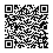 QR-koodi puhelinnumerolle +12029569825