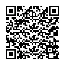 QR-код для номера телефона +12029570600