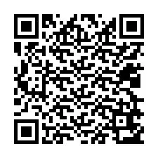 QR-code voor telefoonnummer +12029653223