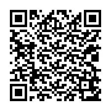 QR код за телефонен номер +12029653230