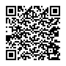 Codice QR per il numero di telefono +12032873756