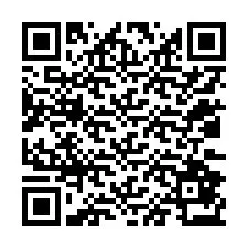 QR Code for Phone number +12032873758