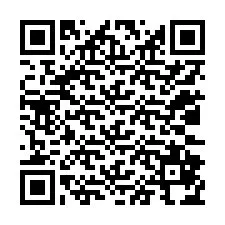 QR-code voor telefoonnummer +12032874538