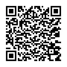 QR-koodi puhelinnumerolle +12033018708