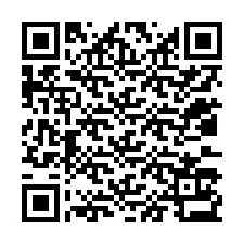 電話番号のQRコード +12033133908