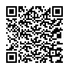 QR-код для номера телефона +12033134040