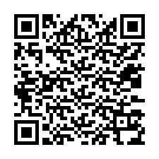 QR код за телефонен номер +12033134043