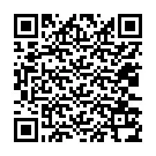 Código QR para número de telefone +12033134773