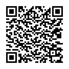 QR-код для номера телефона +12033135382