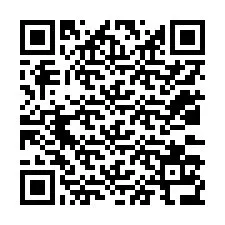 QR-code voor telefoonnummer +12033136709