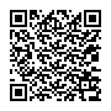 QR-code voor telefoonnummer +12033136710