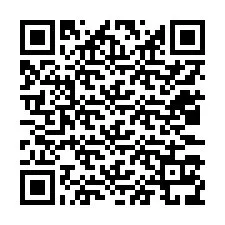 QR-code voor telefoonnummer +12033139096