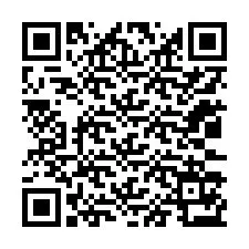 QR-code voor telefoonnummer +12033173635