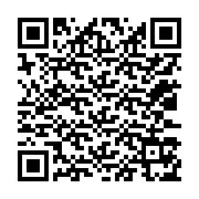 QR-koodi puhelinnumerolle +12033175479