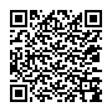 QR-code voor telefoonnummer +12033184048