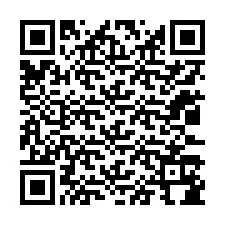 Código QR para número de telefone +12033184965