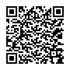 Código QR para número de telefone +12033184979