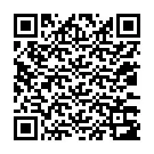 QR Code for Phone number +12033383918