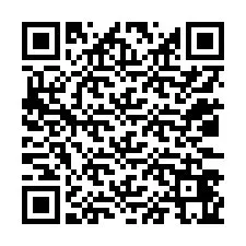 电话号码二维码 +12033465298