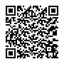 QR kód a telefonszámhoz +12033465300