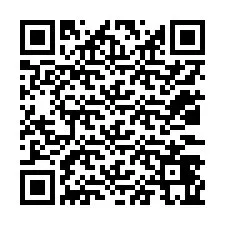 QR-код для номера телефона +12033465989