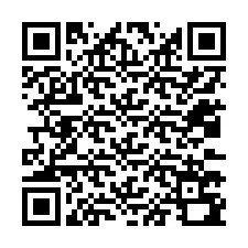 Codice QR per il numero di telefono +12033790613