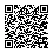 电话号码二维码 +12033799886