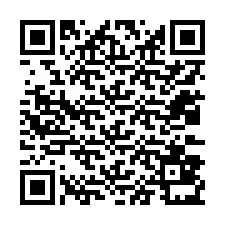 QR-code voor telefoonnummer +12033831747