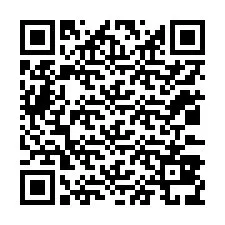 QR-code voor telefoonnummer +12033839951