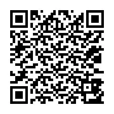 QR-koodi puhelinnumerolle +12033853839