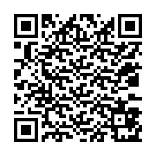 QR код за телефонен номер +12033871508