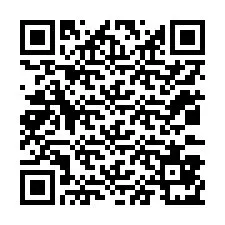 QR Code for Phone number +12033871511