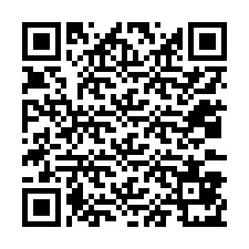 QR-koodi puhelinnumerolle +12033871513