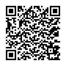 QR Code for Phone number +12033871519