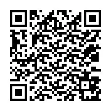 QR kód a telefonszámhoz +12033871519