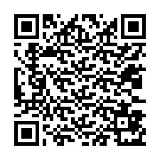 QR код за телефонен номер +12033871523