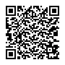 QR kód a telefonszámhoz +12033871524