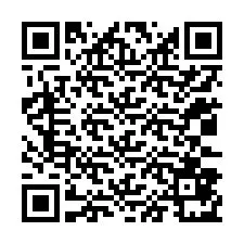 Codice QR per il numero di telefono +12033871770