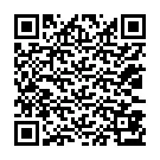 QR код за телефонен номер +12033873139