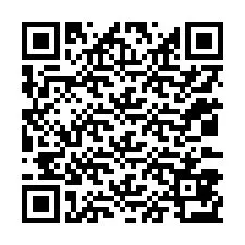 Codice QR per il numero di telefono +12033873140