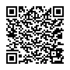 QR Code pour le numéro de téléphone +12033873958