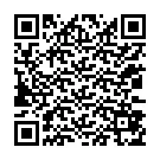 QR Code for Phone number +12033875654