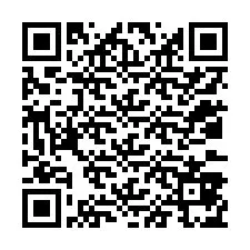 QR Code สำหรับหมายเลขโทรศัพท์ +12033875908