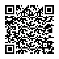 QR Code for Phone number +12033875918