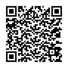 QR-код для номера телефона +12033875918