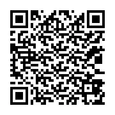 QR kód a telefonszámhoz +12033875921